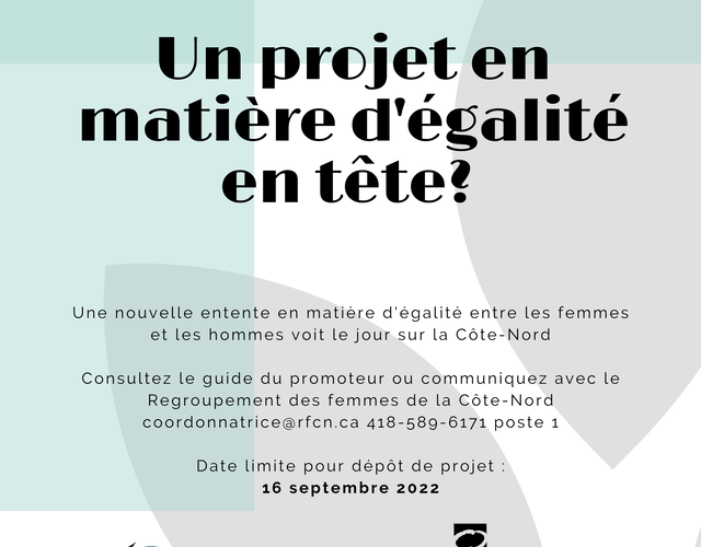 Appel de projets afin de soutenir des initiatives locales ou régionales en matière d'égalité