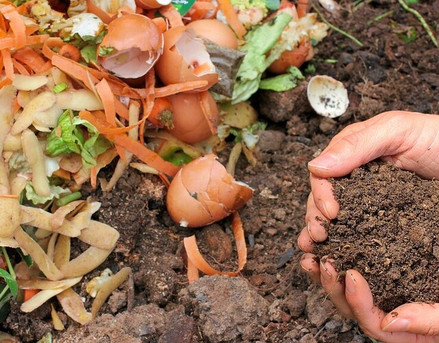 C'est le retour de la collecte des matières organiques pour l'été!